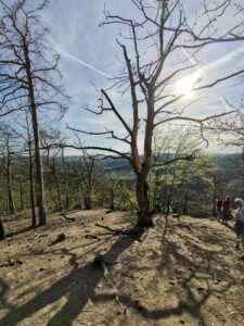 Vyhlídka Máj devastace přírody