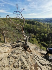 Vyhlídka Máj devastace přírody