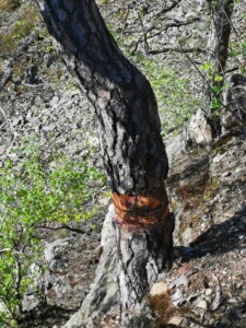 Vyhlídka Máj devastace přírody